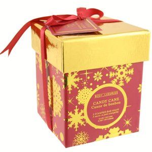 Body Luxuries Candy Cane Square Embossed Soap Set of 3 Bar of  Soap in Gift  Box